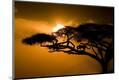 Photographic Print