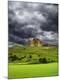 Premium Photographic Print