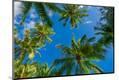 Photographic Print