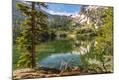 Photographic Print
