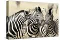 Stretched Canvas Print