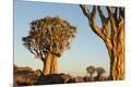 Premium Photographic Print
