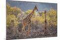 Photographic Print