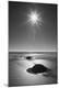 Premium Photographic Print
