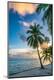 Premium Photographic Print
