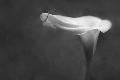Premium Photographic Print