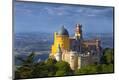 Premium Photographic Print