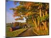 Photographic Print