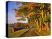 Stretched Canvas Print