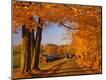Photographic Print
