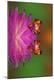 Premium Photographic Print