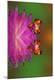 Premium Photographic Print