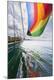 Premium Photographic Print