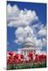 Premium Photographic Print