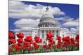Premium Photographic Print