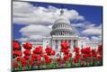 Premium Photographic Print