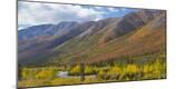 Premium Photographic Print