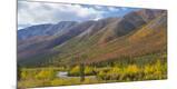 Photographic Print