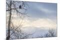 Premium Photographic Print