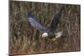 Premium Photographic Print