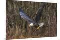 Premium Photographic Print