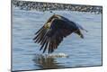 Premium Photographic Print