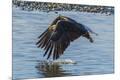 Premium Photographic Print