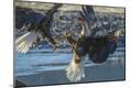 Premium Photographic Print