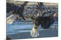Premium Photographic Print