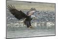 Premium Photographic Print