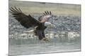 Premium Photographic Print