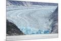 Premium Photographic Print