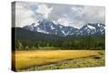 Stretched Canvas Print