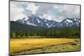 Premium Photographic Print