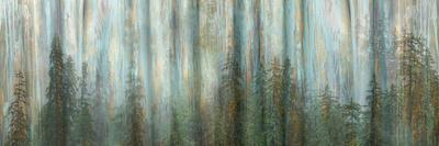 USA, Alaska, Misty Fiords National Monument. Panoramic collage of paint-splattered curtain.-Jaynes Gallery-Photographic Print
