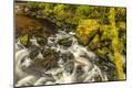 Premium Photographic Print