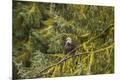 Premium Photographic Print