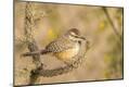 Photographic Print