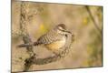 Photographic Print