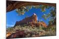Photographic Print