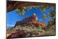 Photographic Print