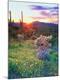Photographic Print