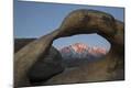 Premium Photographic Print