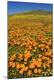 Premium Photographic Print