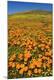 Premium Photographic Print