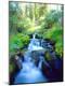 Photographic Print