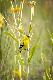 Premium Photographic Print