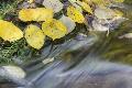 Premium Photographic Print