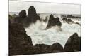 Photographic Print