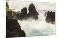 Photographic Print